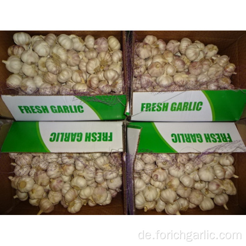 Export Standard New Fresh Normal Weißer Knoblauch